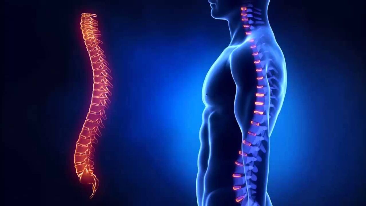 Osteochondrosis is classified according to the parts of the spine where the disease develops.
